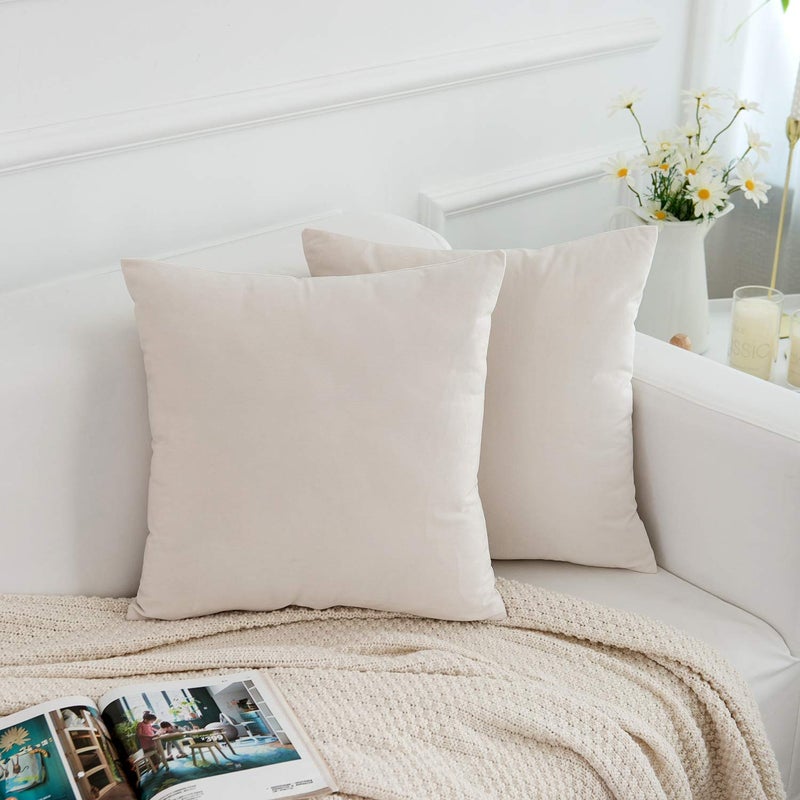 RainRoad Velvet Decorative Throw Pillow Covers Cushion Cover Pillow Case for Sofa Couch Bed Chair,Soft Square Cream Throw Pillows 18x18 Inch,Set of 2 - Image 2